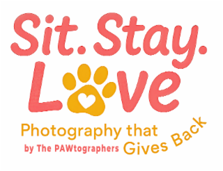 SIT. STAY. LOVE PHOTOGRAPHY THAT GIVES BACK â BY THE PAWTOGRAPHERS