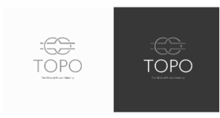 TOPO THE OFFICE OF PRIVATE ORDERING