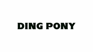 DING PONY