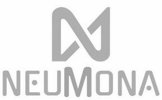 NM NEUMONA