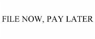 FILE NOW, PAY LATER