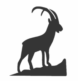 Image Trademark