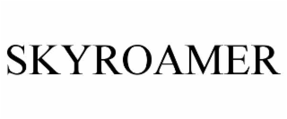 SKYROAMER