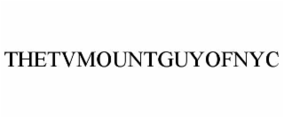 THETVMOUNTGUYOFNYC