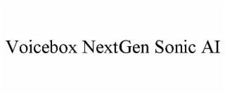 VOICEBOX NEXTGEN SONIC AI