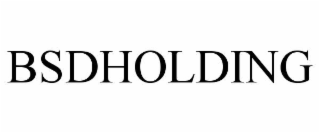 BSDHOLDING