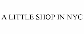 A LITTLE SHOP IN NYC