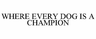 WHERE EVERY DOG IS A CHAMPION