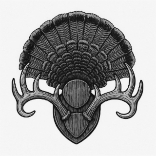 Image Trademark