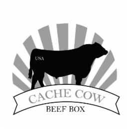 USA CACHE COW BEEF BOX