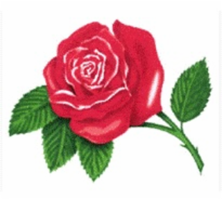Image Trademark