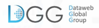 DGG DATAWEB GLOBAL GROUP