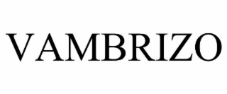 VAMBRIZO