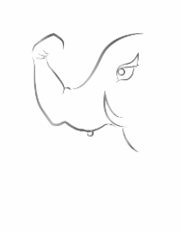 Image Trademark