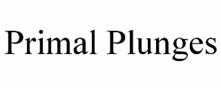 PRIMAL PLUNGES