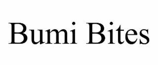 BUMI BITES