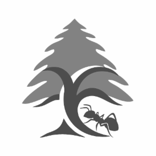 Image Trademark