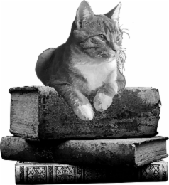 TABBY CAT BOOKS, LLC