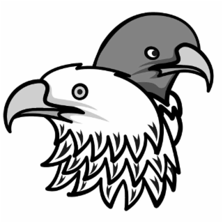 Image Trademark