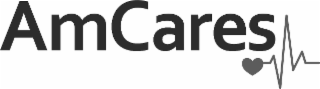 AMCARES