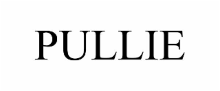 PULLIE