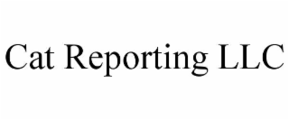 CAT REPORTING LLC