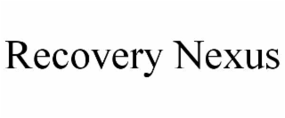 RECOVERY NEXUS
