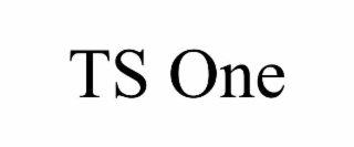 TS ONE