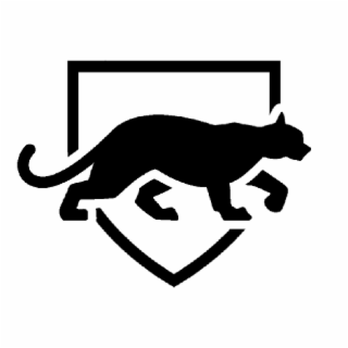 Image Trademark