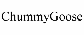 CHUMMYGOOSE