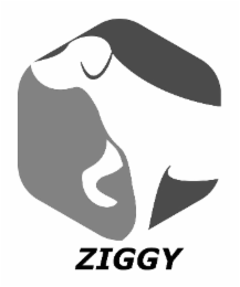 ZIGGY
