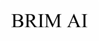 BRIM AI