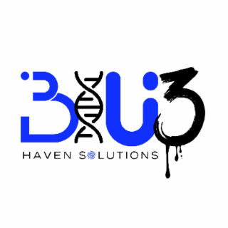 BLU3 HAVEN SOLUTIONS