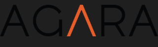 THE LITERAL ELEMENTS OF THE MARK CONSISTS OF THE LETTERS 