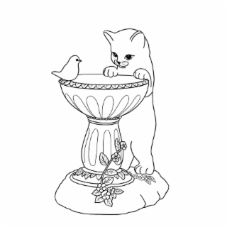 Image Trademark