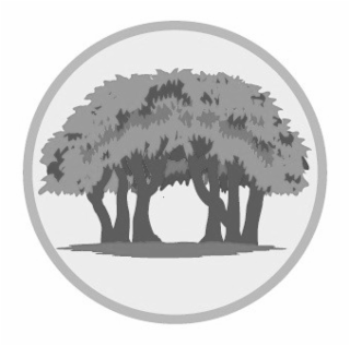 Image Trademark
