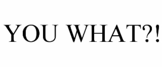 YOU WHAT?!