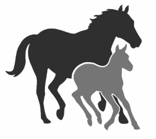 Image Trademark