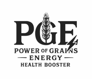 PGE POWER OF GRAINS -ENERGY- HEALTH BOOSTER