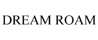 DREAM ROAM