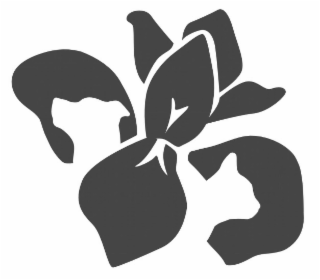 Image Trademark