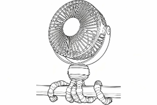Image Trademark