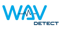 WAV DETECT