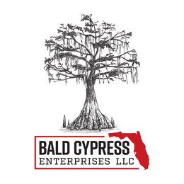 BALD CYPRESS ENTERPRISES LLC