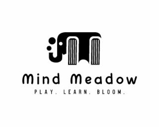 MIND MEADOW PLAY. LEARN. BLOOM.
