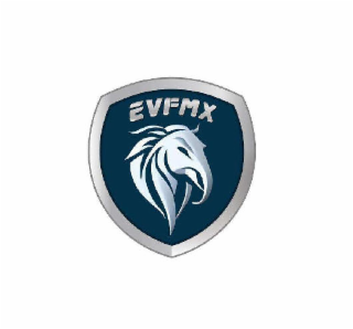 EVFMX