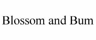 BLOSSOM AND BUM