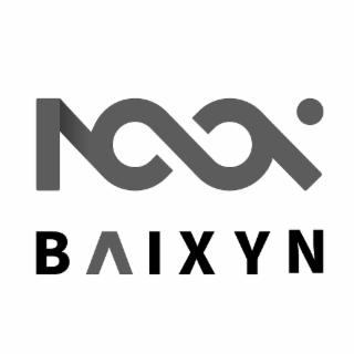 100X BAIXYN