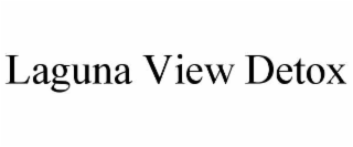 LAGUNA VIEW DETOX