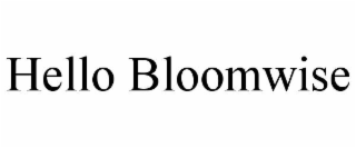 HELLO BLOOMWISE